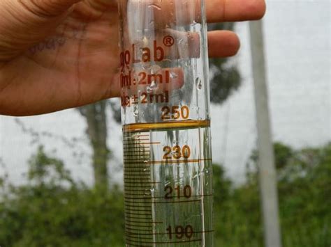 O que é Monitoramento Ambiental Como isso Ajuda o Meio Ambiente