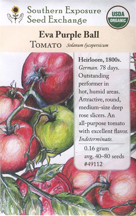 Honeyman Farms Tomato Purpleblack Eva Purple Ball Seed