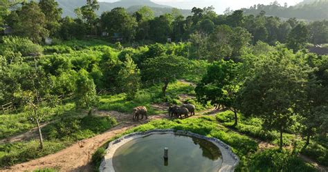 Koh Samui Elephant Kingdom San