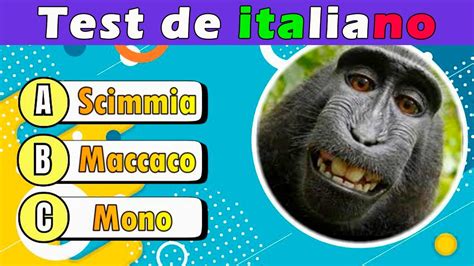 TEST de ITALIANO nivel FÁCIL Te animas a poner a PRUEBA Tus