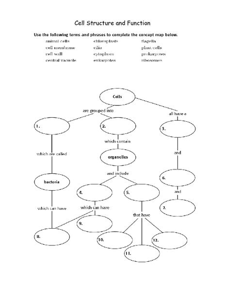 36 Cell Concept Map Worksheet Answer Key Support Worksheet