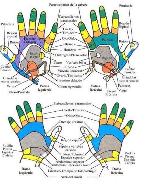 Medicina Natural Puntos De Acupresion En Las Manos