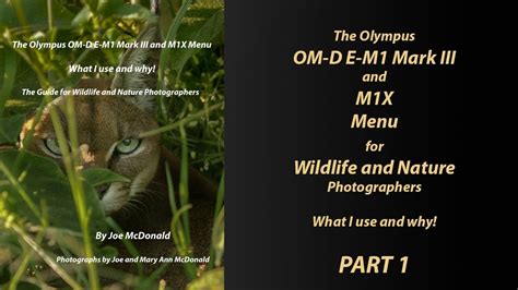 The Olympus M1X And OM D E M Mark III Menu For Wildlife And Nature