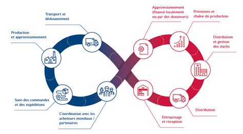 Gestion De La Cha Ne Dapprovisionnement Hips