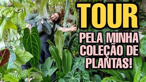 Tour Pela Minha Cole O De Plantas Raras No Apartamento Jardim