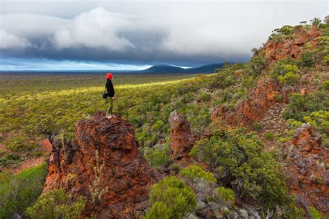 Wilderness Society Wa Jarrah Forests