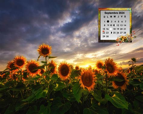 Fonds d’écran Calendriers Septembre – Belle Picotine