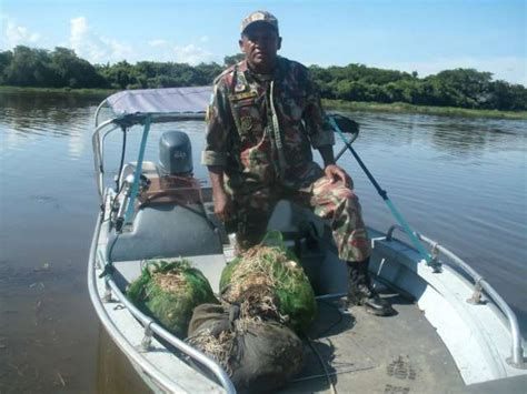 Pma Apreende Kg De Pescado E Prende Pessoas Em Dois Meses De