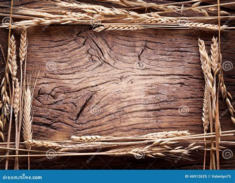 Oren Van Tarwe In Het Vormkader Op Oud Hout Stock Afbeelding Image Of