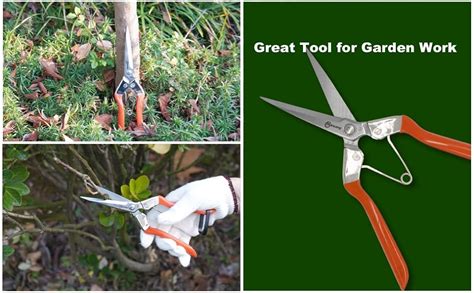 Amazon Sanung Pruning Shears For Gardening Hand Pruner