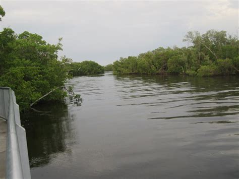 We Are The World: Peace River Wildlife Center, Punta Gorda, FL