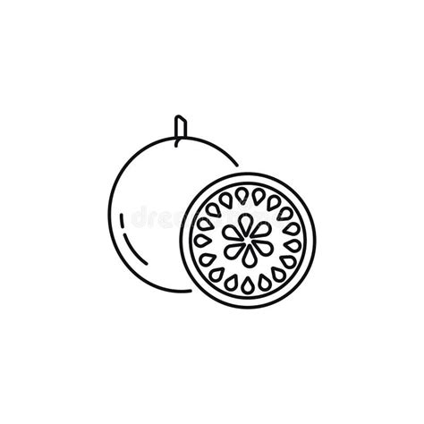 Passion Fruit Line Icon Isolated On White Background Stock Illustration