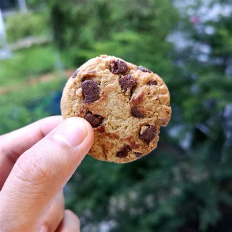 Gullón Sugar Free Choco Chip Biscuits Reviews abillion