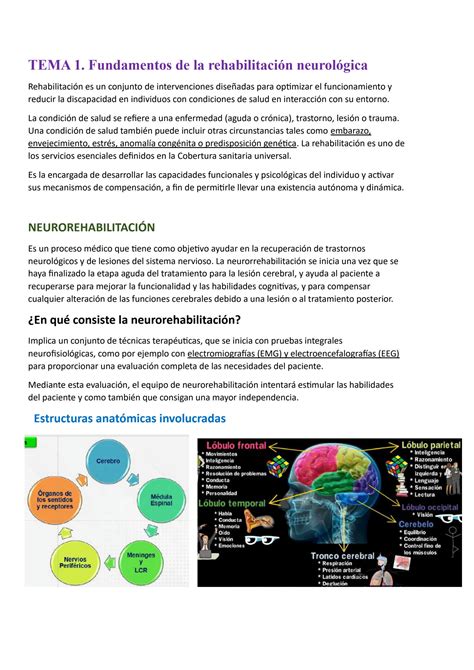 SOLUTION Enfermedades Neurodegenerativas Studypool