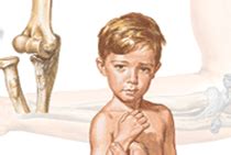 home netterreferencecom