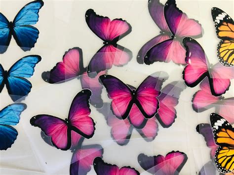 Iron On Butterfly Butterfly Heat Transfer Iron On Vinyl Etsy