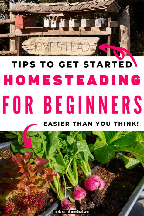 Homesteading For Beginners Is Easier Than You Think