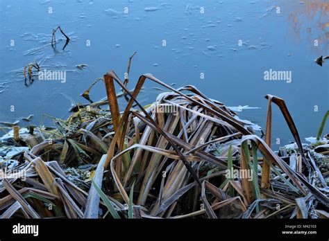 Agua congelada en el lago fotografías e imágenes de alta resolución Alamy