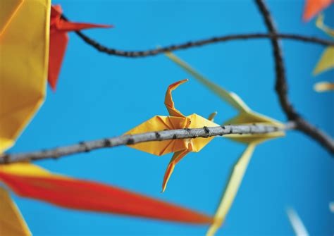 Paper Crane Project on Behance