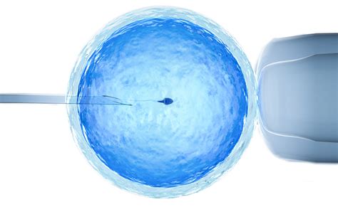 In Vitro Fertilization Ivf Equipment