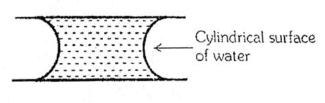 If Two Glass Plates Have Water Between Them And Are Separated By Very