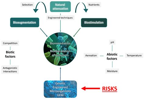 Sustainability Free Full Text Get Rid Of Marine Pollution