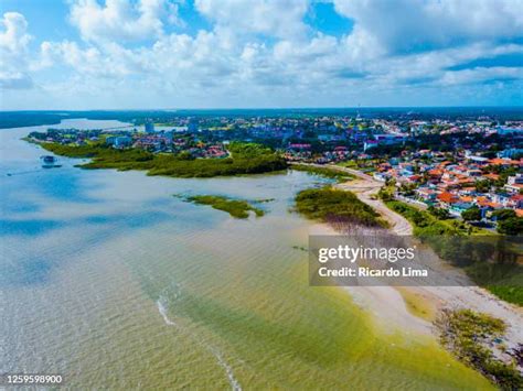 Maçarico Photos and Premium High Res Pictures - Getty Images