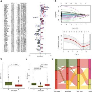 Immune Microenvironment Landscape Characteristic In DAG Based Molecular