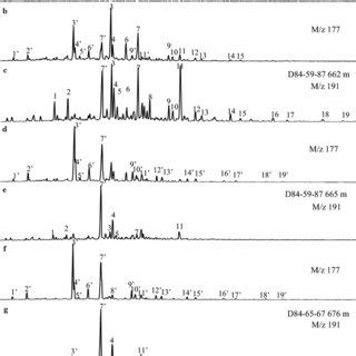 Representative Mass Chromatograms Of M Z And M Z Illustrating