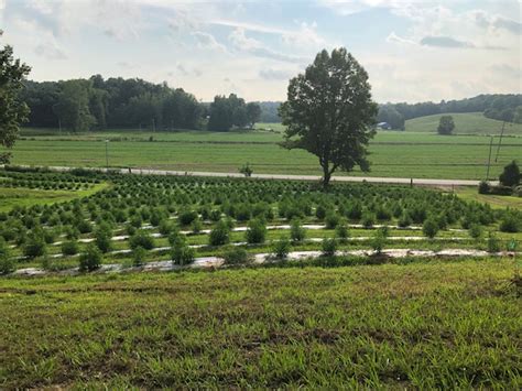 Organic Kentucky Farmer