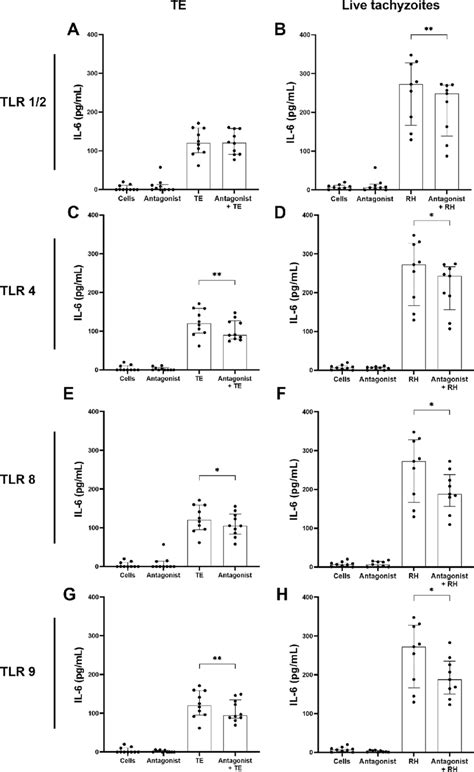 Involvement Of Toll Like Receptors Tlrs In Toxoplasma Gondii Download Scientific Diagram