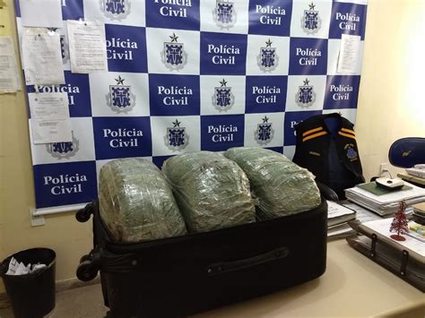 Jovem é Preso Transportando Malas Com 200 Kg De Maconha Em ônibus De