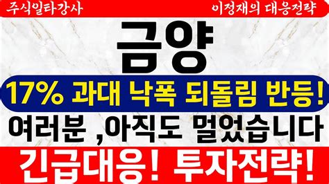 금양 17 과대낙폭 되돌림반등 여러분 아직도 멀엇습니다 긴급대응 투자전략 YouTube