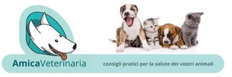 Carcinoma Squamocellulare Nel Gatto Guarire Si Pu Amica Veterinaria