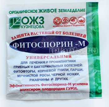 Использование фитоспорина для семян — У дачки
