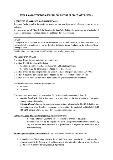 Tema 1 Derechos Fundamentales Tema 1 CaracterizaciÓn General Del Sistema De Derechos Y