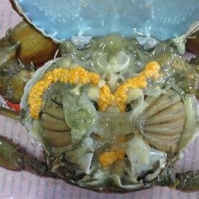 Shows The Ovarian Maturation Of Female Mud Crab In Process Vitelogenic