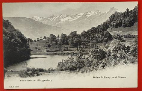 Faulensee Bei Ringgenberg Ruine Goldswyl Kaufen Auf Ricardo