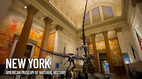 American Museum of Natural History Inside Tour – New York – The Weekend ...