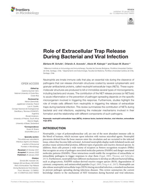 Pdf Role Of Extracellular Trap Release During Bacterial And Viral