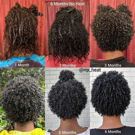 Start A Transitioning Hair Regimen In 6 Easy Steps Artofit