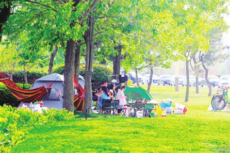 “露营热”带火文旅消费 日照要闻 日照新闻网 日照第一门户网站 日照新闻 日照日报 黄海晨刊