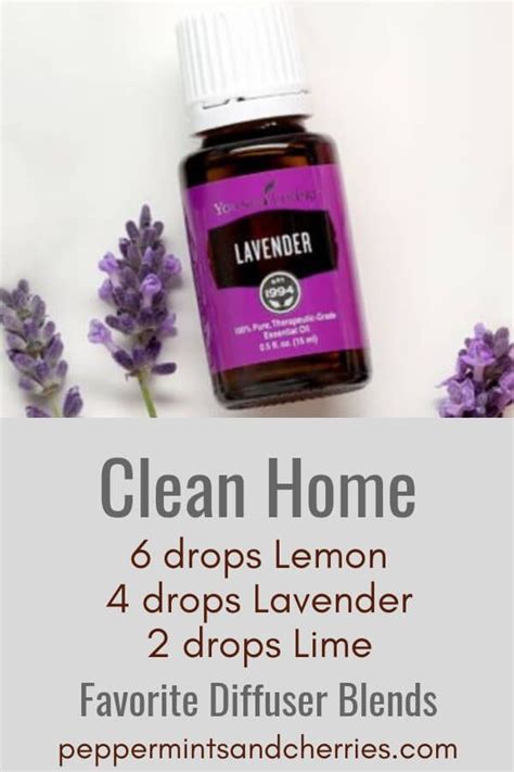 Diy Tick Repellent Spray Using Essential Oils Artofit