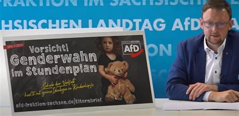 Penis Teddy Auf Plakat Afd Sachsen Plant Umstrittene Aktion An Schulwegen