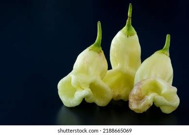 3 Pepper aji fantasy chili Images, Stock Photos & Vectors | Shutterstock