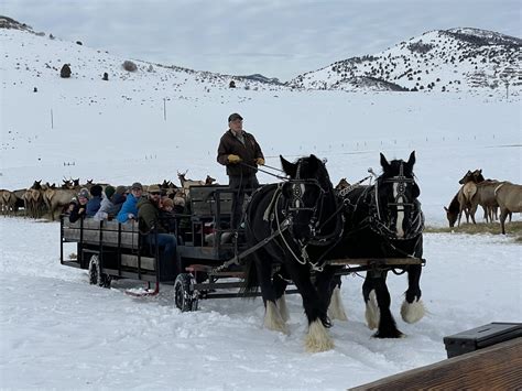 Hardware Ranch | Elk Viewing - Utah's Adventure Family