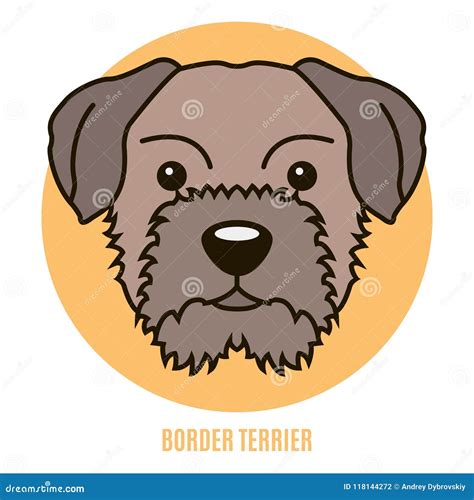 Portrait Of Border Terrier Vector Illustration Stock Vector