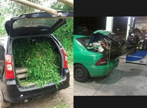 Potret Lucu Barang Bawaan Gak Biasa Di Bagasi Mobil