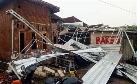 Hujan Deras Di Sidoarjo Sebabkan Pohon Tumbang Dan Rumah Rusak