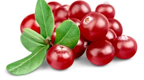 Manfaat Cranberry Untuk Kulit Dan Rambut Yang Jarang Diketahui